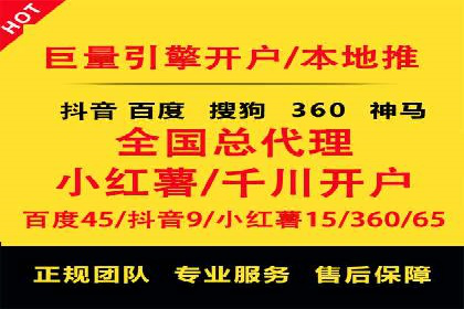百度竞价与搜索引擎优化（SEO）的协同效应案例